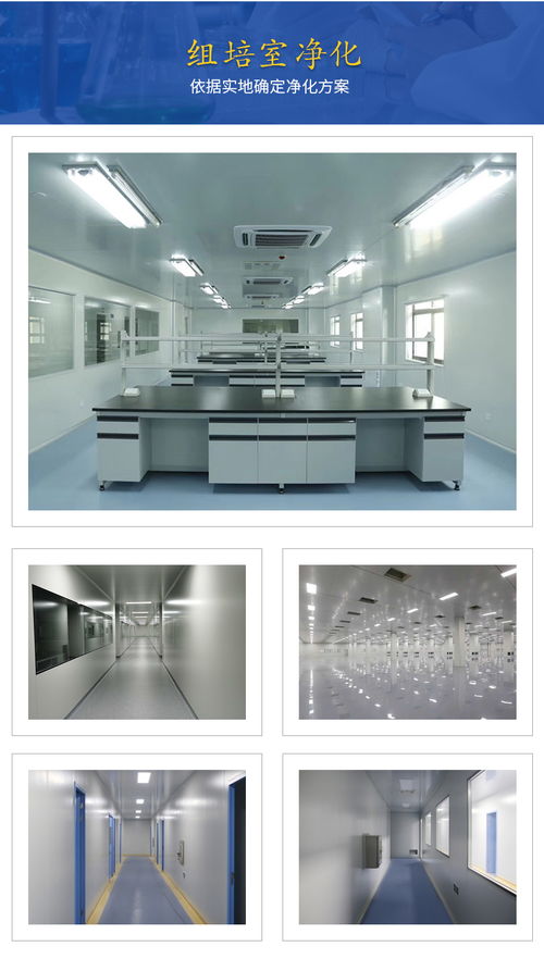 貴州與廣西組培技術(shù)交流 攜手推進(jìn)區(qū)域農(nóng)業(yè)創(chuàng)新發(fā)展